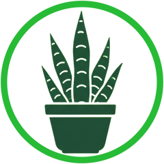 Collection image for: Plants