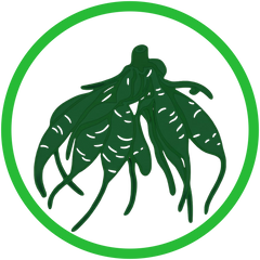 Collection image for: Tubers