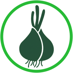 Collection image for: Bulbs